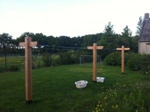IMG_0412